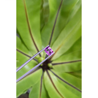 1.98 Ct. Pinkish Purple Sapphire from Ceylon (Sri Lanka) Life Style
