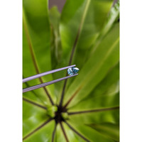 0.79 Ct. Greenish Blue Sapphire from Montana Life Style