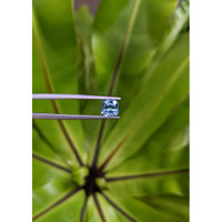 1.56 Ct. Blue Sapphire from Montana Life Style