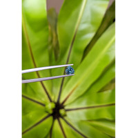 1.07 Ct. Greenish Blue Sapphire from Montana Life Style