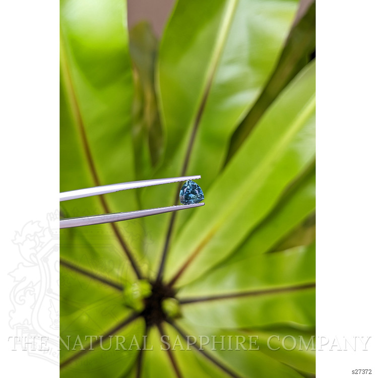 1.07 Ct. Greenish Blue Sapphire from Montana