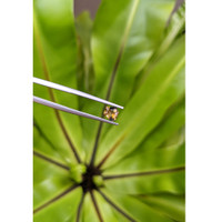 0.73 Ct. Bi Color Sapphire from Montana Life Style