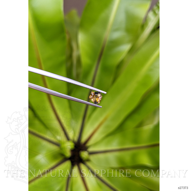 0.73 Ct. Bi Color Sapphire from Montana