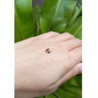 0.73 Ct. Bi Color Sapphire from Montana Life Style