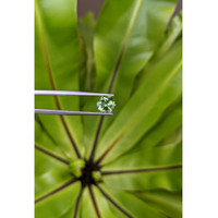 2.21 Ct. Green Sapphire from Montana Life Style