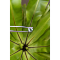 1.40 Ct. Bluish Green Sapphire from Montana Life Style