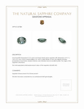 Jewelry Appraisal