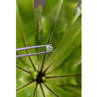 0.96 Ct. Green Sapphire from Montana Life Style