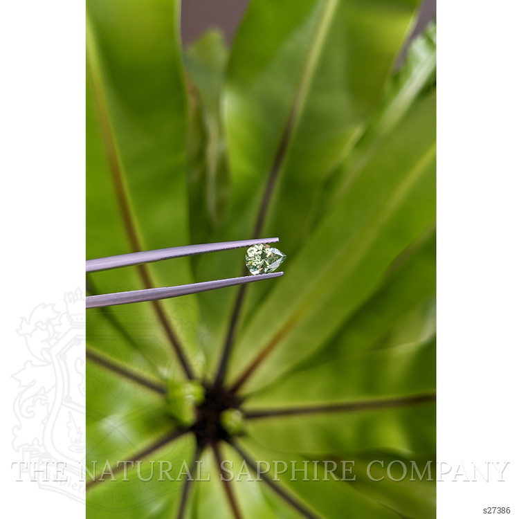 0.96 Ct. Green Sapphire from Montana