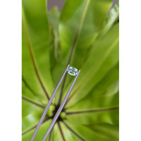 1.18 Ct. Bluish Green Sapphire from Montana Life Style