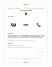 1.15 Ct. Green Sapphire from Montana Appraisal