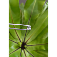 2.34 Ct. Yellowish Green Sapphire from Montana Life Style