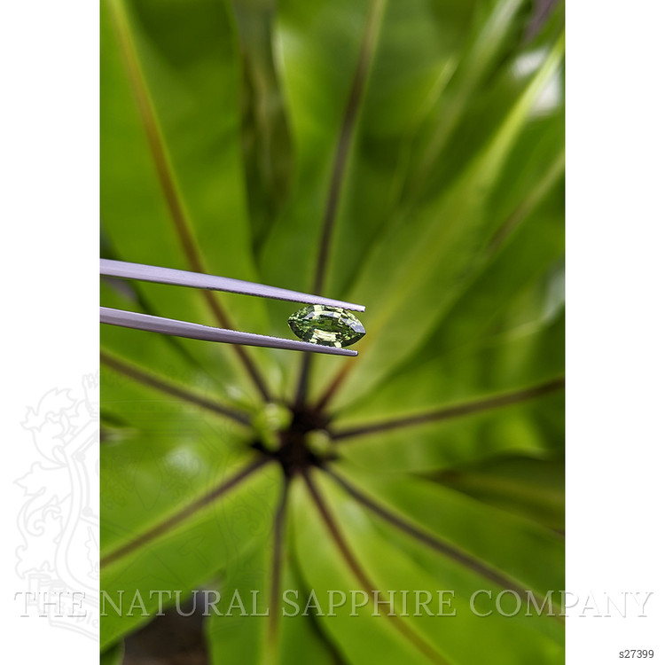 1.30 Ct. Green Sapphire from Ceylon (Sri Lanka)