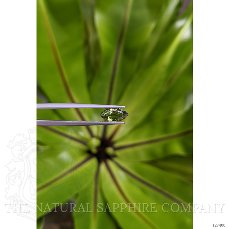 1.64 Ct. Green Sapphire from Ceylon (Sri Lanka)