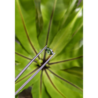 1.66 Ct. Green Sapphire from Ceylon (Sri Lanka) Life Style