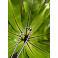 1.69 Ct. Green Sapphire from Ceylon (Sri Lanka) Life Style