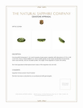1.42 Ct. Green Sapphire from Ceylon (Sri Lanka) Appraisal