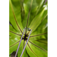 1.42 Ct. Green Sapphire from Ceylon (Sri Lanka) Life Style