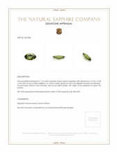 1.14 Ct. Green Sapphire from Ceylon (Sri Lanka) Appraisal