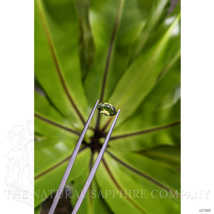 1.14 Ct. Green Sapphire from Ceylon (Sri Lanka)