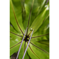 1.07 Ct. Green Sapphire from Ceylon (Sri Lanka) Life Style