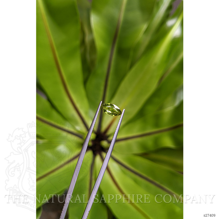 1.07 Ct. Green Sapphire from Ceylon (Sri Lanka)