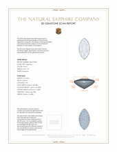 Jewelry 3 D Scan Report