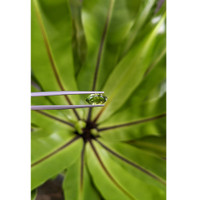 1.25 Ct. Green Sapphire from Ceylon (Sri Lanka) Life Style