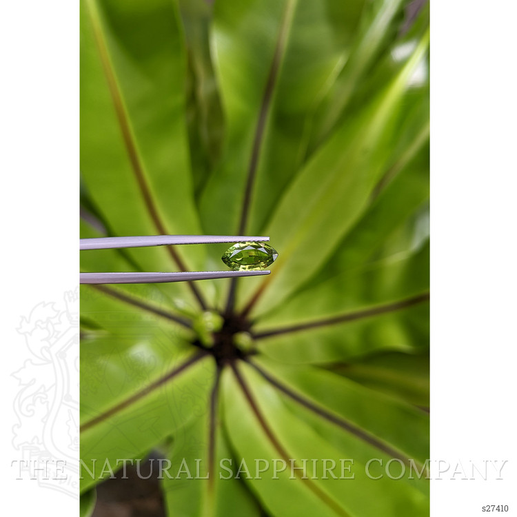 1.25 Ct. Green Sapphire from Ceylon (Sri Lanka)
