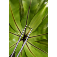 0.88 Ct. Green Sapphire from Ceylon (Sri Lanka) Life Style