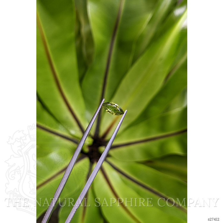 0.88 Ct. Green Sapphire from Ceylon (Sri Lanka)