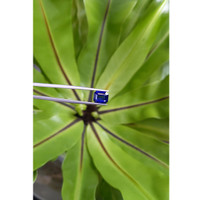 3.22 Ct. Blue Sapphire from Ceylon (Sri Lanka) Life Style