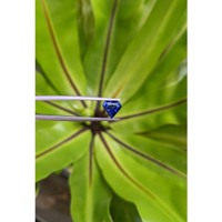 2.05 Ct. Blue Sapphire from Ceylon (Sri Lanka) Life Style