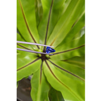 1.84 Ct. Blue Sapphire from Ceylon (Sri Lanka) Life Style