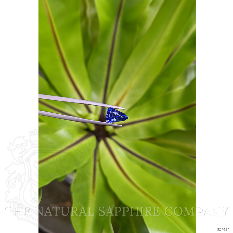 1.84 Ct. Blue Sapphire from Ceylon (Sri Lanka)