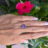 4.20 Ct. Pinkish Purple Sapphire from Ceylon (Sri Lanka) Life Style