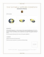 1.11 Ct. Bi Color Sapphire from Ceylon (Sri Lanka) Appraisal