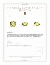 1.15 Ct. Bi Color Sapphire from Africa Appraisal