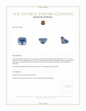 1.03 Ct. Blue Sapphire from Montana Appraisal