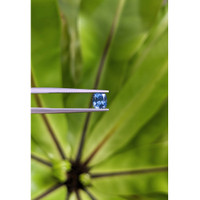 1.03 Ct. Blue Sapphire from Montana Life Style