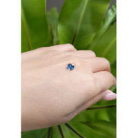 1.03 Ct. Blue Sapphire from Montana Life Style