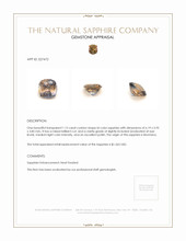 Jewelry Appraisal