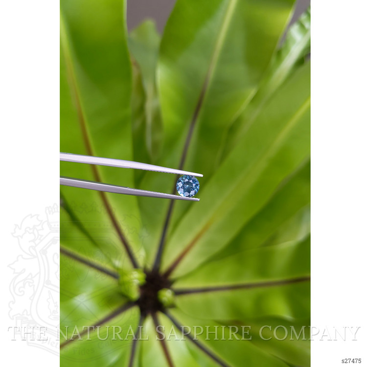 1.18 Ct. Blue Sapphire from Montana
