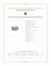 Jewelry Scan Report