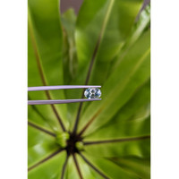 1.56 Ct. Bi Color Sapphire from Montana Life Style