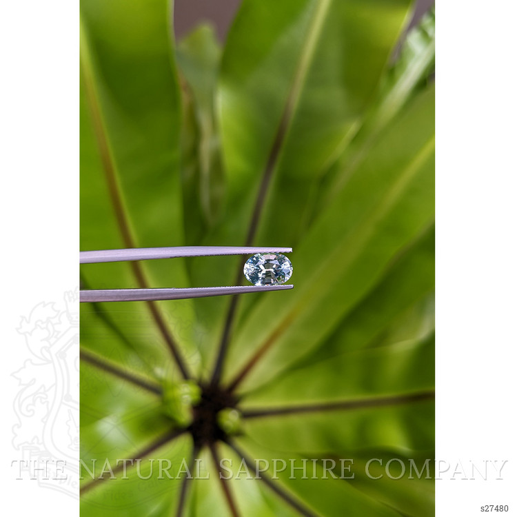 1.56 Ct. Bi Color Sapphire from Montana