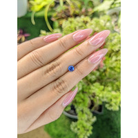 0.64 Ct. Blue Sapphire from Ceylon (Sri Lanka) Life Style