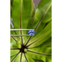 2.55 Ct. Blue Sapphire from Ceylon (Sri Lanka) Life Style