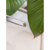 2.15 Ct. Yellowish Green Sapphire from Ceylon (Sri Lanka) Life Style