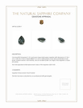 1.02 Ct. Bluish Green Sapphire from Ceylon (Sri Lanka) Appraisal